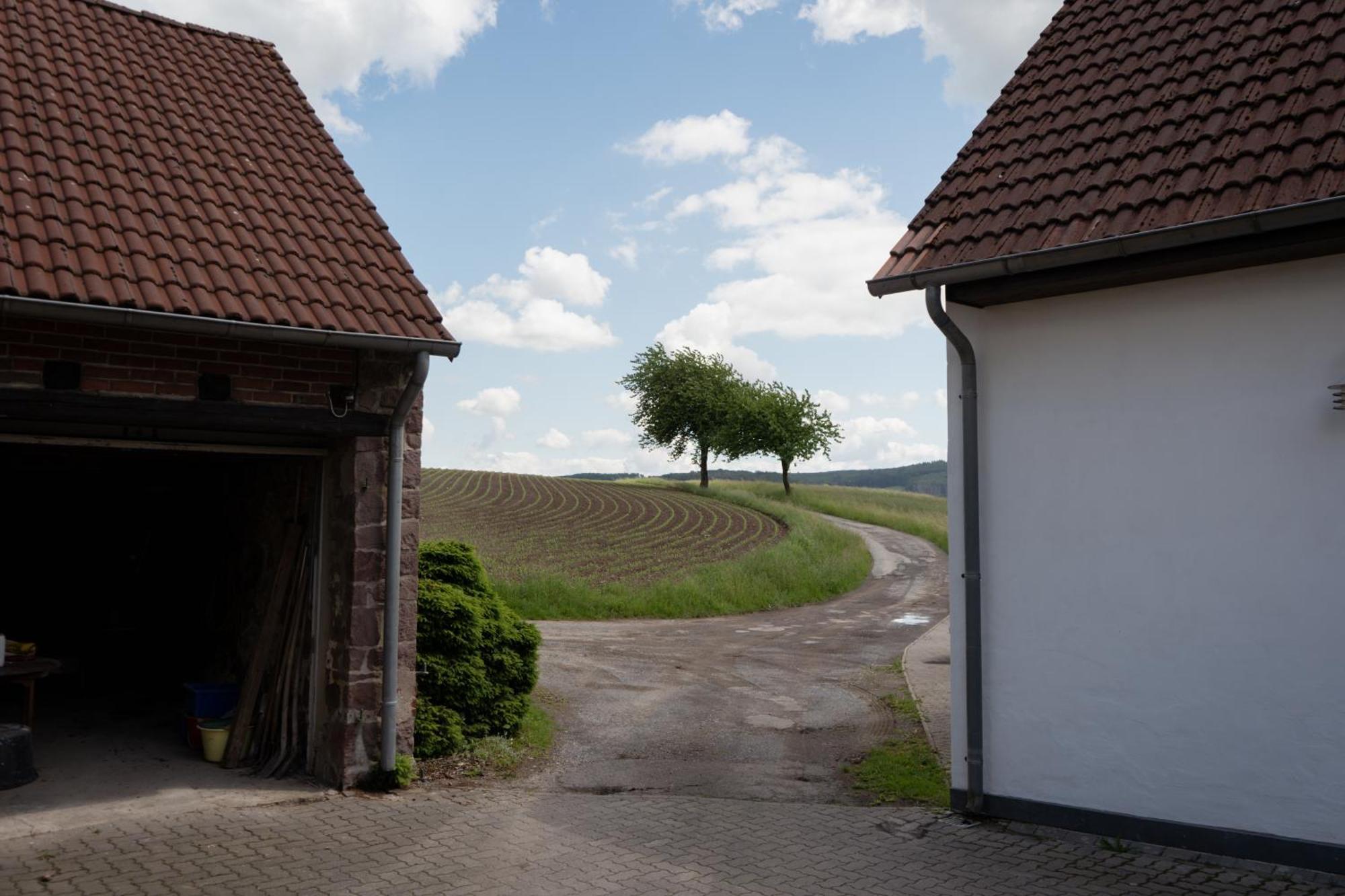 Idyllische Ferienwohnung Im Kalletal Екстериор снимка